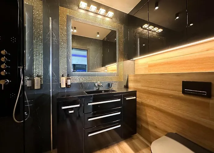 Luxury Z Duzym Tarasem - Park 波兹南